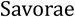 Savorae